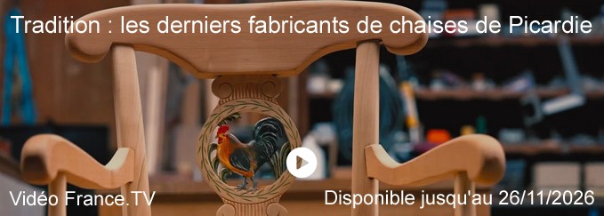 Vid&eacute;o France TV